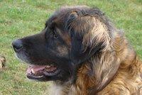 Welcome India Restauracja Indyjska